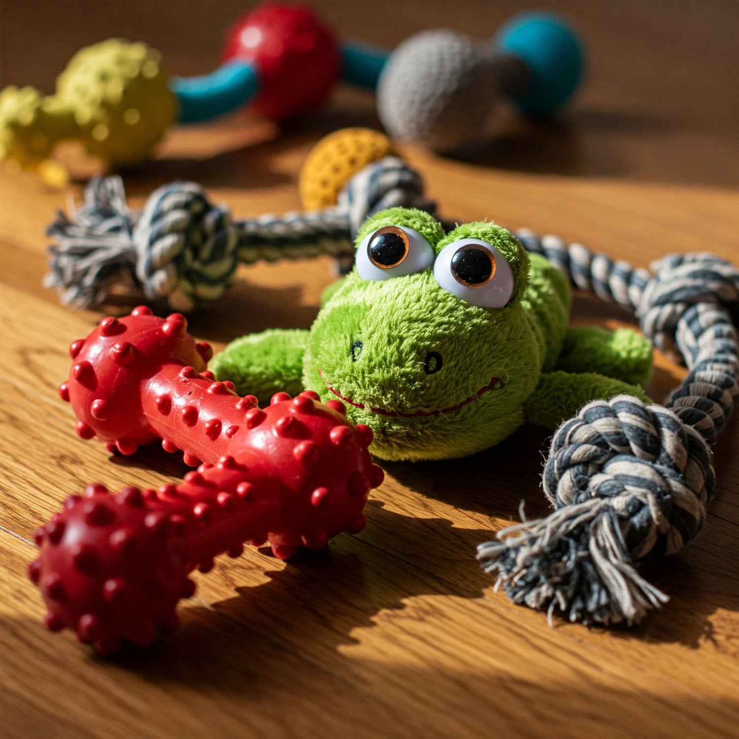 Dog Toys